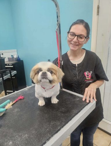 Mary dog grooming dogs