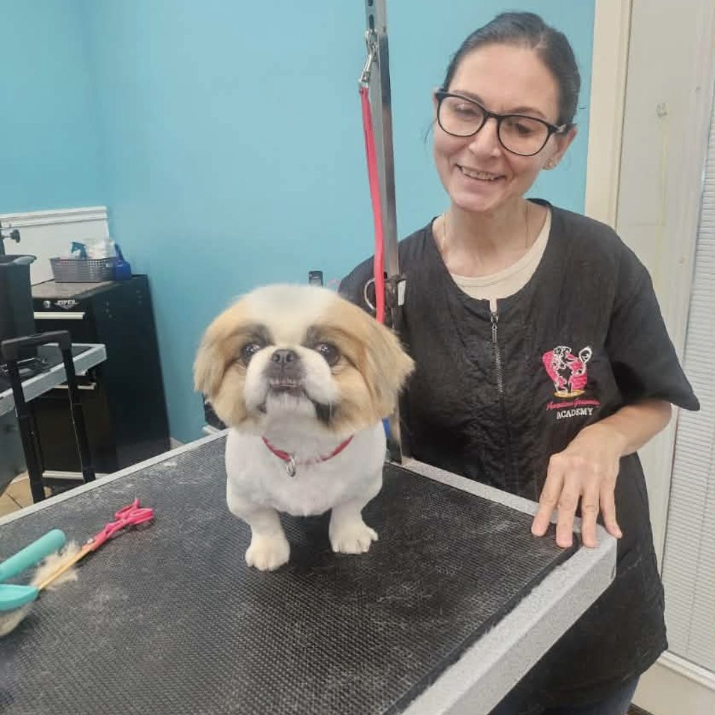 mary dog grooming with one client