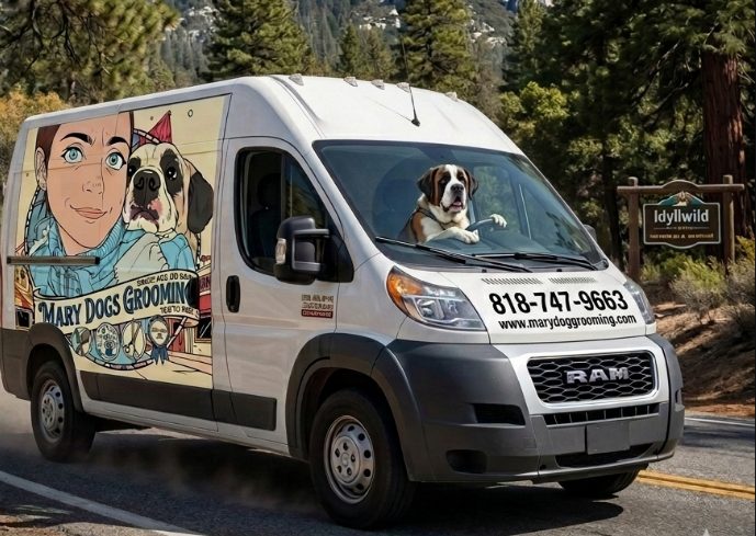 Mary dog grooming van van